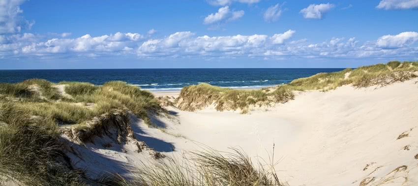 Sandstrand mit Dünen in Dänemark