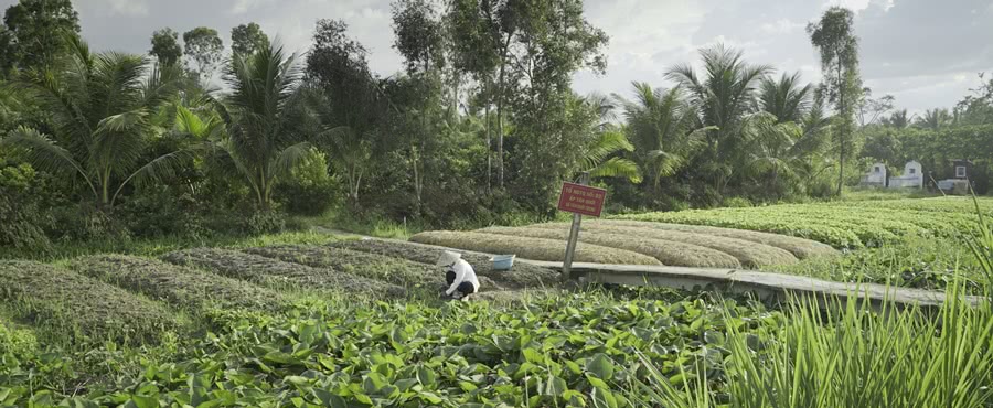 Bauer bei landwirtschaftlicher Arbeit im Mekong Delta in Vietnam